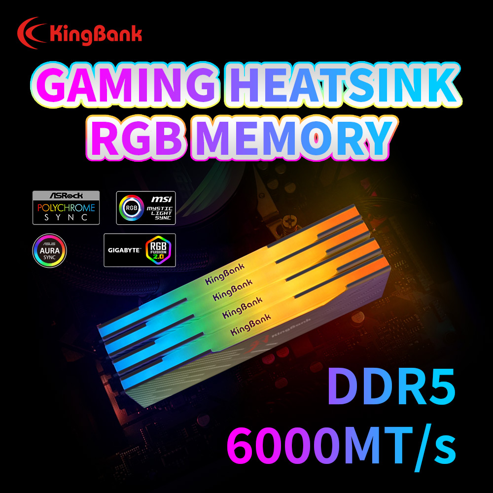 KingBank KRRB DDR5 RGB SoarBla - огляд і ціна Ddr5 Kit